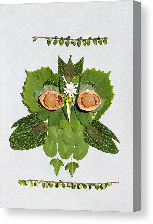 Green Owl 3 Canvas Print featuring the painting Green Owl 3 by Oxana Zaika