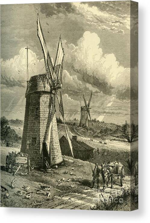 Working Animal Canvas Print featuring the drawing Grist Wind-mills At East Hampton by Print Collector