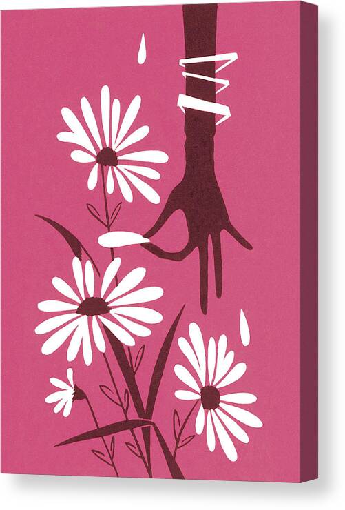 Accessories Canvas Print featuring the drawing Hand Picking Petals from Flowers by CSA Images