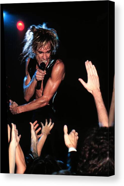 1980-1989 Canvas Print featuring the photograph Iggy Pop Performs In Minnesota by Jim Steinfeldt