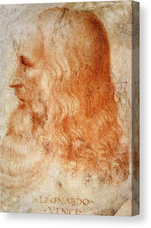 Leonardo Da Vinci Canvas Print featuring the painting Leonardo da Vinci by Francesco Melzi