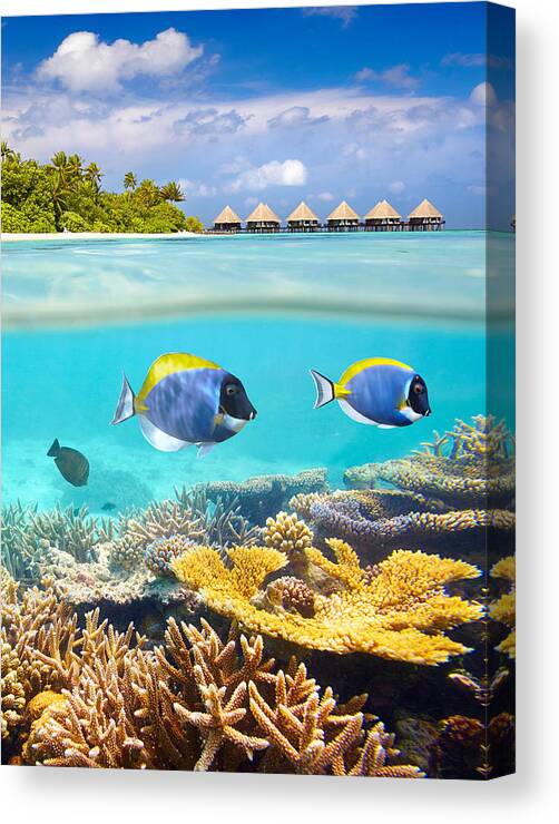 Landscape Canvas Print featuring the photograph Maldives Islands - Tropical Underwater by Jan Wlodarczyk