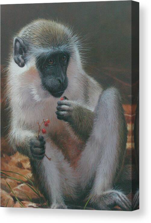 Ape Canvas Print featuring the painting Monkey 2 by Michael Jackson