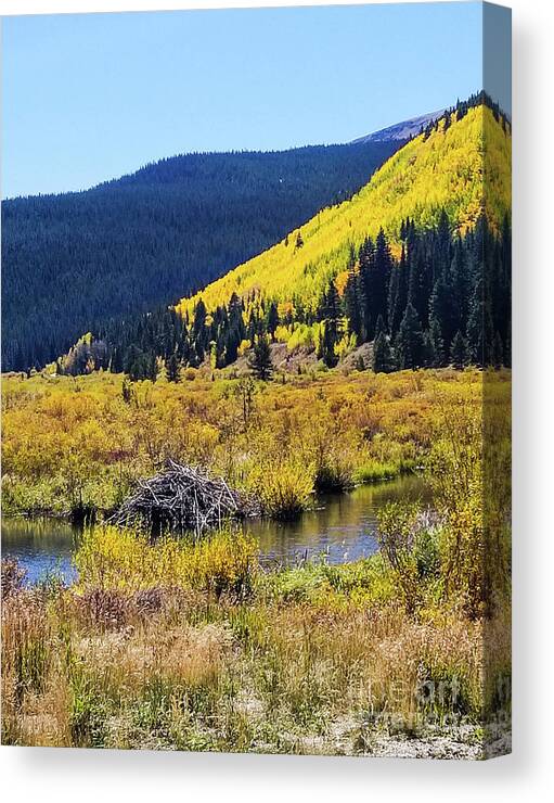 Breckenridge Canvas Print featuring the photograph Mountain Time by Elizabeth M