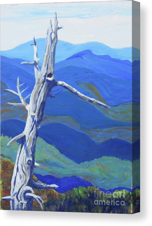 Mountain Canvas Print featuring the painting Mt. Mitchell by Anne Marie Brown