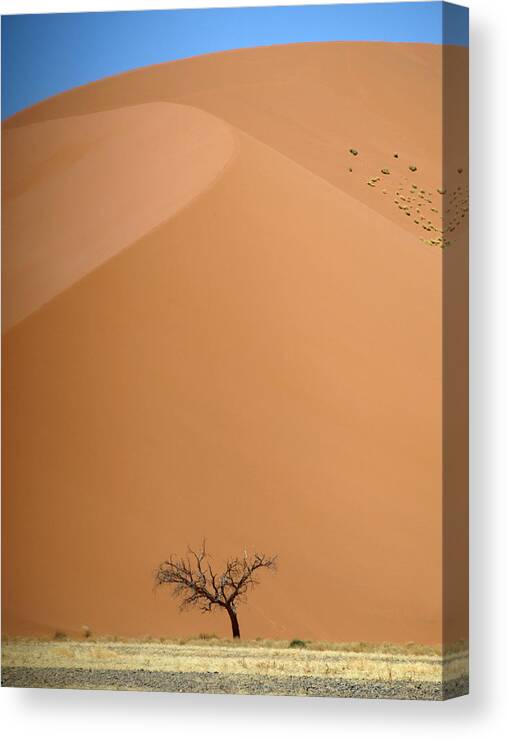 Tranquility Canvas Print featuring the photograph Namibia - Namib Desert by Ibon Cano Sanz