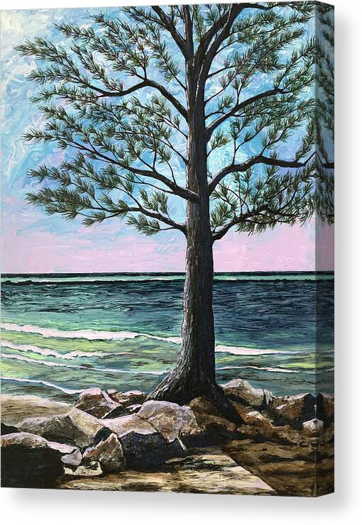 Landscape Canvas Print featuring the painting Oh Florida by Mr Dill