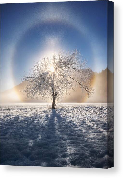 Winter Canvas Print featuring the photograph Ring Of Frost by Ales Krivec