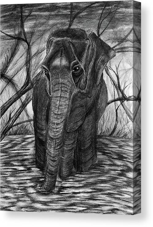  Beautiful Canvas Print featuring the drawing Sadness In The Jungle by Medea Ioseliani