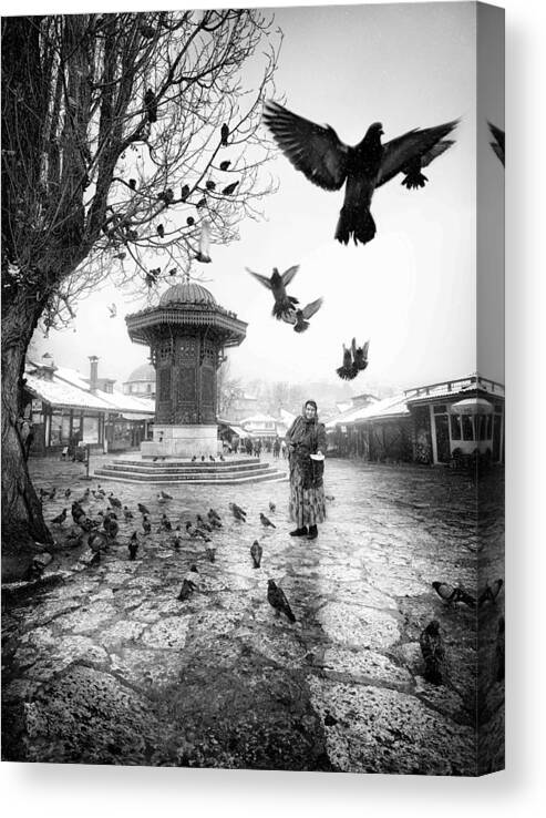  Canvas Print featuring the photograph Sarajevo II by Petar Lupic