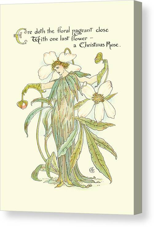 Children's Canvas Print featuring the painting Shakespeares Garden Xii (xmas Rose by Walter Crane