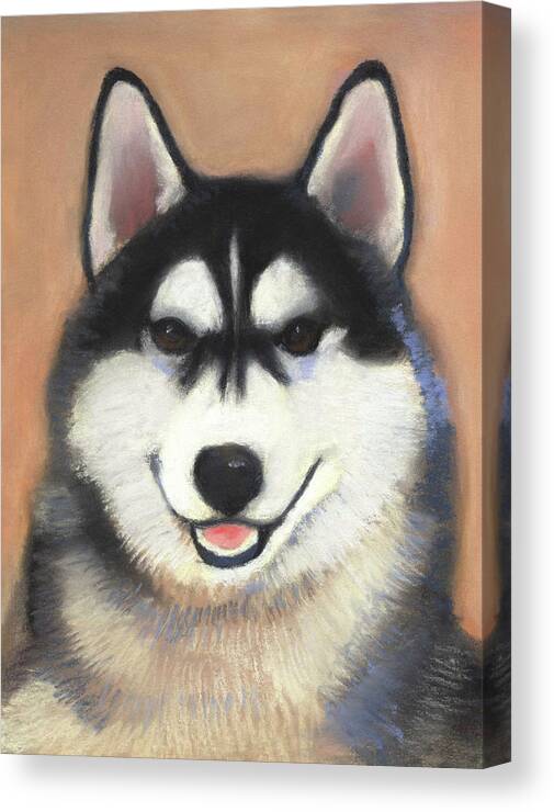 Siberian Husky Canvas Print featuring the pastel Siberian Husky by Linda Ruiz-Lozito
