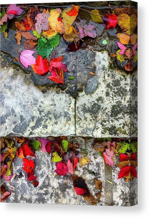 Leaves Canvas Print featuring the photograph Stone, Steps Showily Seasoned by Terri Hart-Ellis