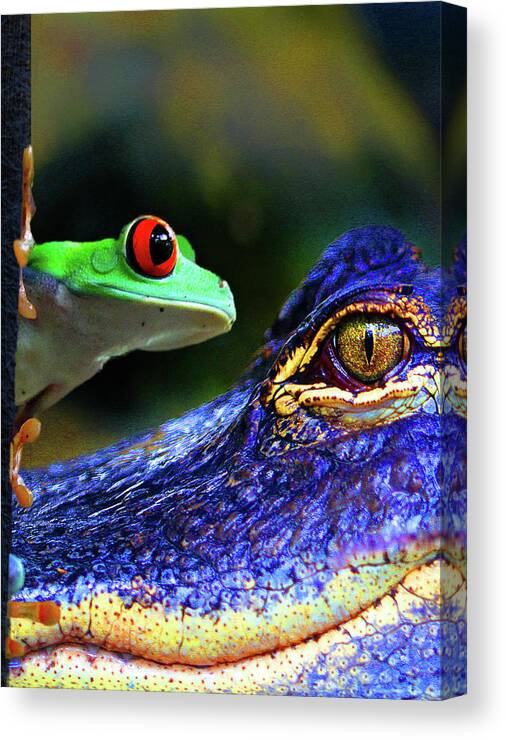 The Amphibean & The Reptile Canvas Print featuring the photograph The Amphibean & The Reptile by Dana Brett Munach