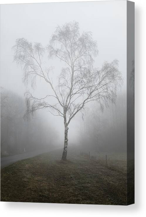 Fog Canvas Print featuring the photograph The Light. by Jakob Arnholtz