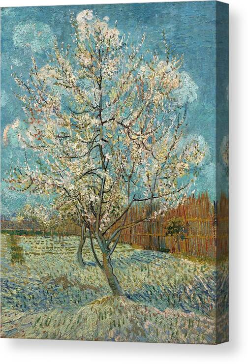 Oil On Canvas Canvas Print featuring the painting The Pink Peach Tree. by Vincent van Gogh -1853-1890-