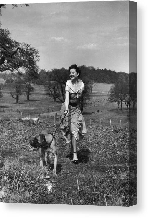 Belgium Canvas Print featuring the photograph Walking The Dog by Hulton Archive