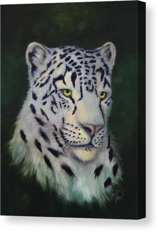 White Snow Leopard Canvas Print featuring the painting Snow Leopard by Lynne Pittard
