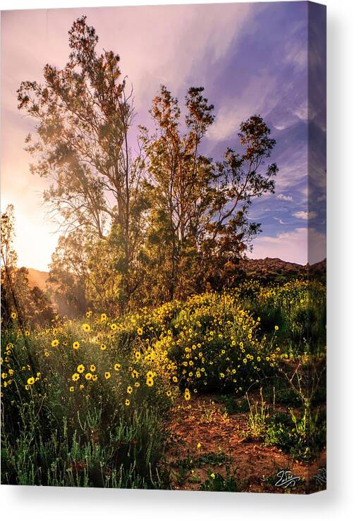 Chatsworth Canvas Print featuring the photograph Wildflower Sunset by Endre Balogh