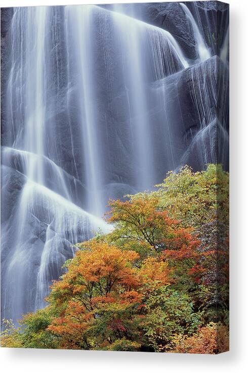 Scenics Canvas Print featuring the photograph Yasunotaki Waterfall In Autumn by Mixa