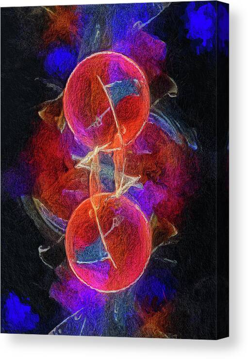 Zygote Canvas Print featuring the digital art Zygote by Skip Hunt