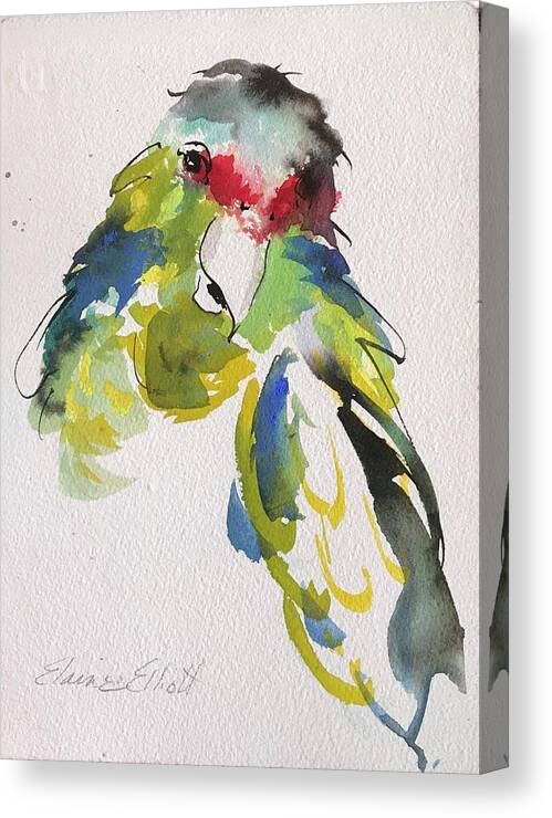 Tropical Birds Canvas Print featuring the painting Parrot Portrait #1 by Elaine Elliott