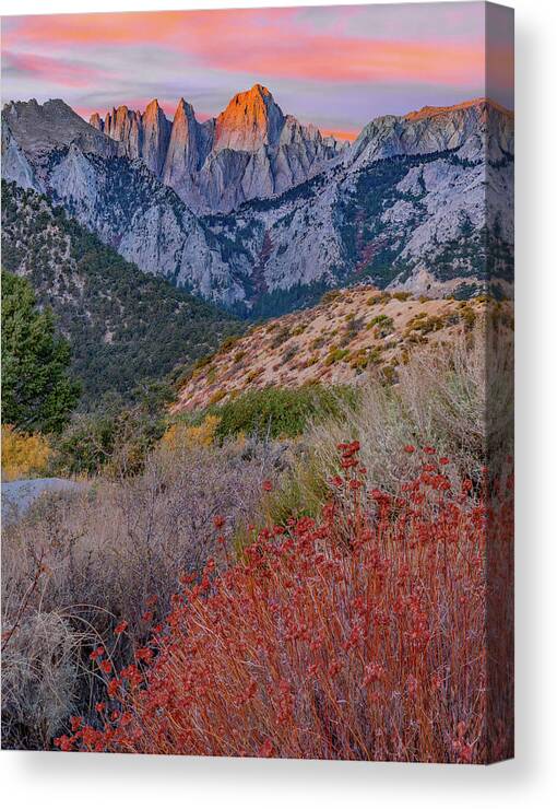 Tim Fitzharris Canvas Print featuring the photograph Mount Whitney, Sequoia National Park Inyo, National Forest, California, USA #3 by Tim Fitzharris