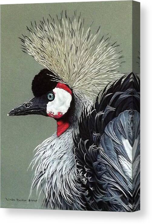 Bird Canvas Print featuring the painting African Crowned Crane by Linda Becker