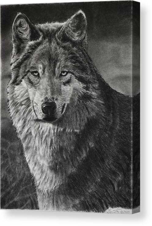 Wolf Canvas Print featuring the drawing Alpha by Greg Fox