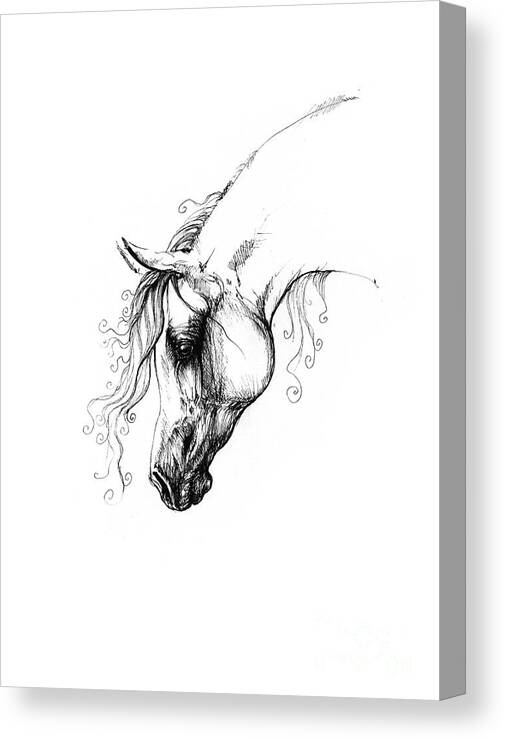 Sketch: Arabian horse by Noukah on DeviantArt