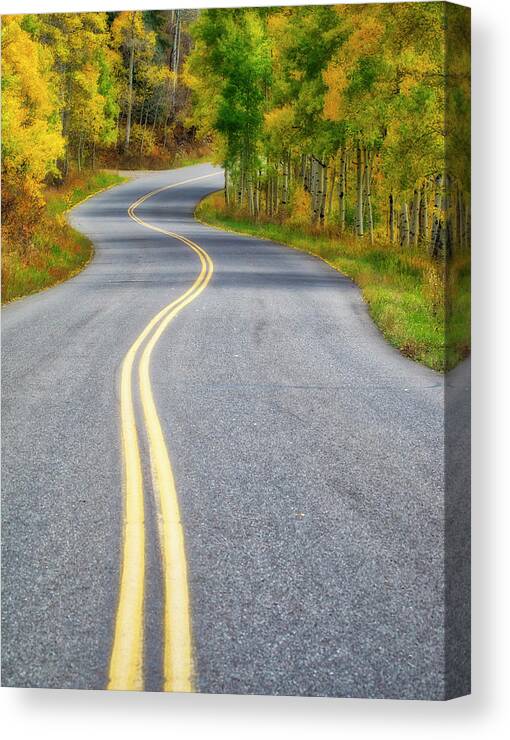 Aspen Tree Canvas Print featuring the photograph Aspen Road by Eggers Photography