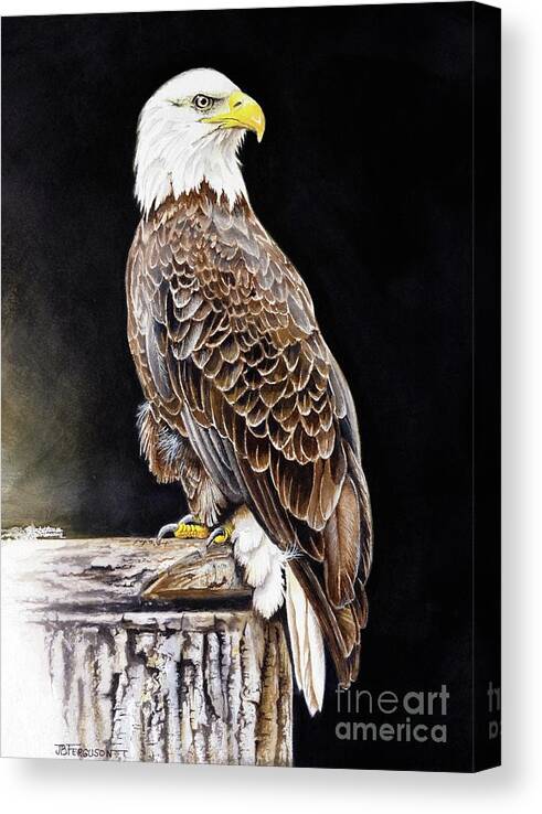 Bird Canvas Print featuring the painting Bald Eagle by Jeanette Ferguson