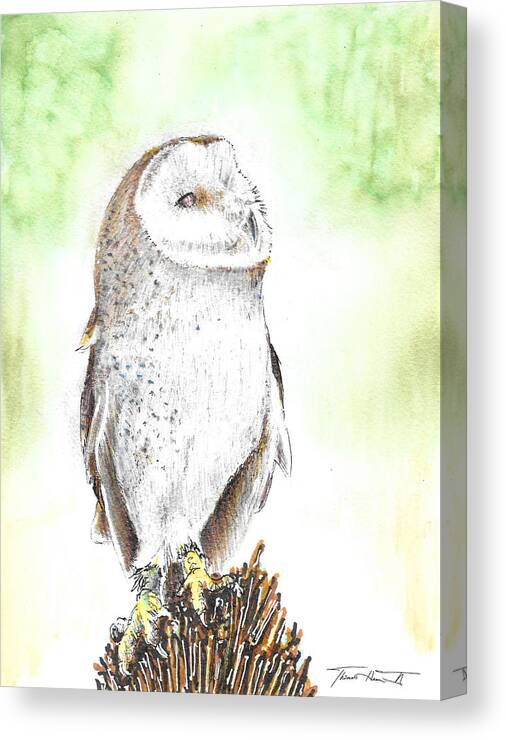 Barn Owl Canvas Print featuring the painting Barn Owl by Thomas Hamm