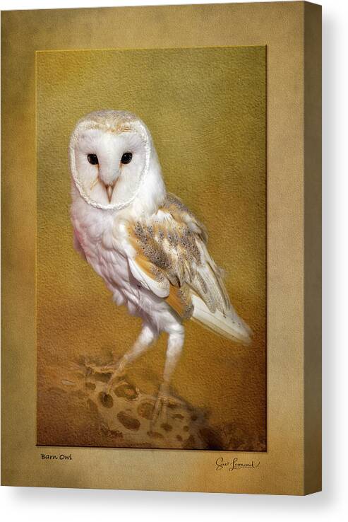 Abstract Canvas Print featuring the photograph Barn Owl with border by Sue Leonard