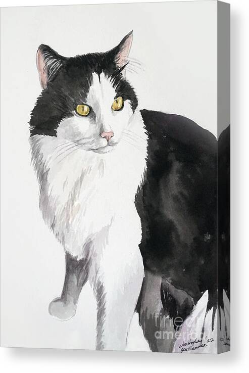 Cat Canvas Print featuring the painting Black and white cat by Christopher Shellhammer