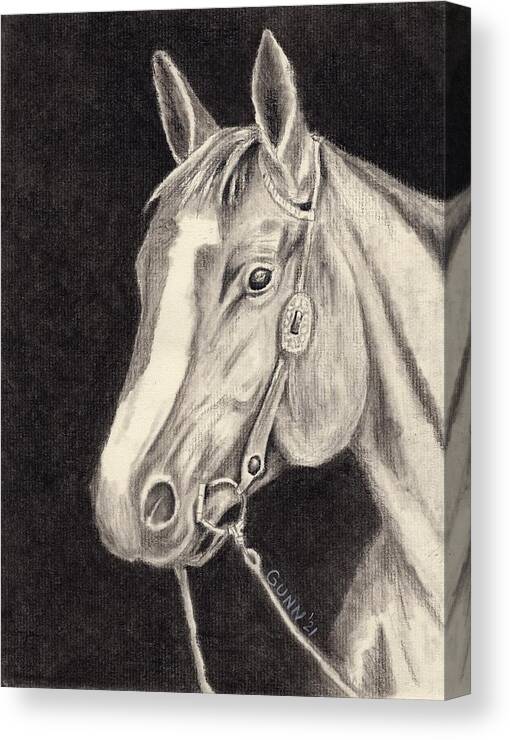 Horse Canvas Print featuring the drawing Bridled by Katrina Gunn