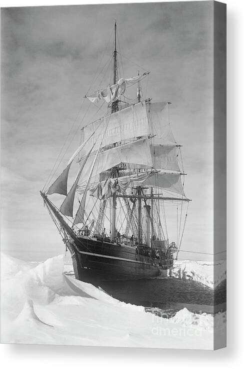1900s Canvas Print featuring the drawing Terra Nova in Antarctic pack ice, 1910 by Scott Polar Research Institute