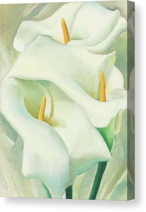 Georgia O'keeffe Canvas Print featuring the painting Calla lilies - Modernist flower painting by Georgia O'Keeffe