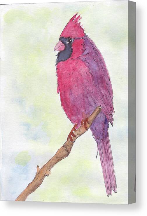 Birds Canvas Print featuring the painting Cardinal Visiting by Anne Katzeff