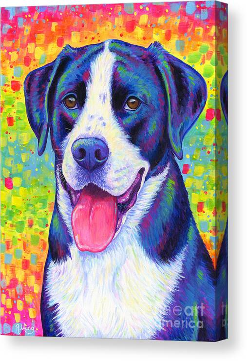 Dog Canvas Print featuring the painting Colorful Bicolor Dog with Rainbow Colors by Rebecca Wang