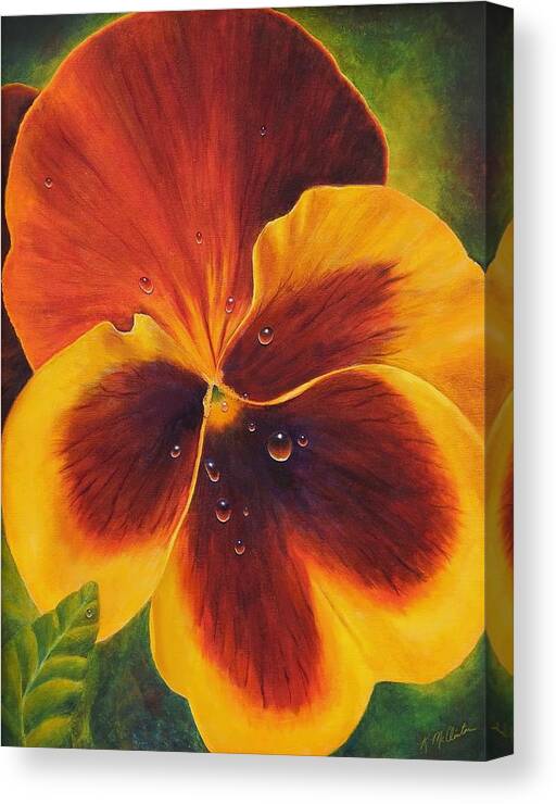 Kim Mcclinton Canvas Print featuring the painting Grandpa's Pansies by Kim McClinton