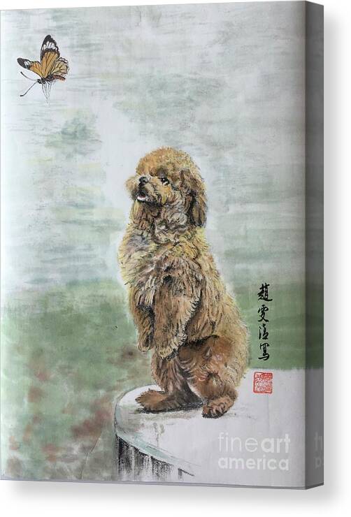 Shih Tzu Dog Canvas Print featuring the painting Calm Observation by Carmen Lam