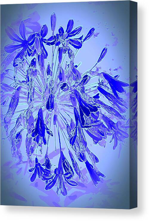 Plant Canvas Print featuring the photograph Flower Cluster in Blue by Loraine Yaffe