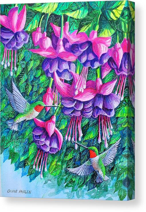 Fuchsia. Hummingbirds Canvas Print featuring the painting Fuchsia Frolic by Diane Phalen