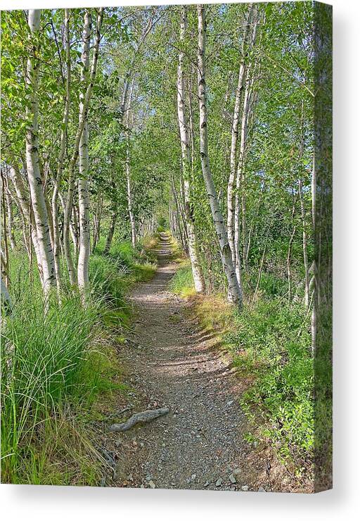 Trail Canvas Print featuring the photograph Hemlock Path by Monika Salvan