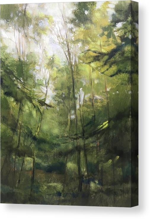 Forest Canvas Print featuring the painting Looking Up by Barbara Hranilovich
