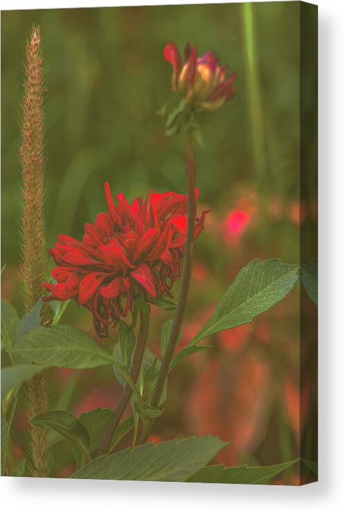 Misty Memories Canvas Print featuring the photograph Misty memories #j0 by Leif Sohlman