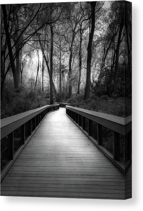 Florida Boardwalk Canvas Print featuring the photograph Moody and Mysterious Florida Boardwalk in Black and White by Rebecca Herranen