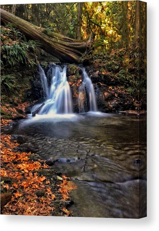 Orcas Island Canvas Print featuring the photograph Orcas Island Waterfall by Jerry Abbott