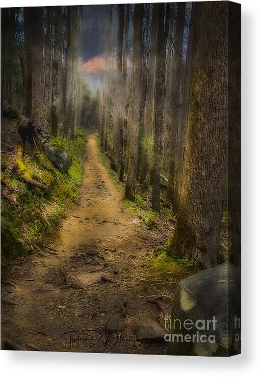 Landscapes Canvas Print featuring the photograph Peace of Mind by Theresa D Williams